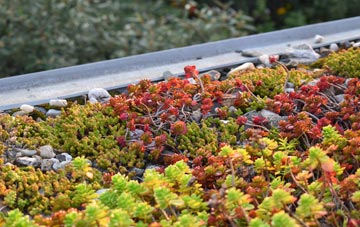 the cost of Green Clough green roof installation