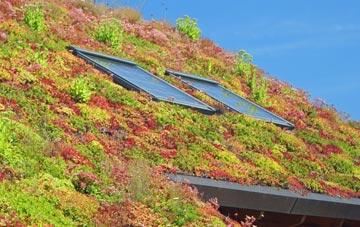 Green Clough living roof systems